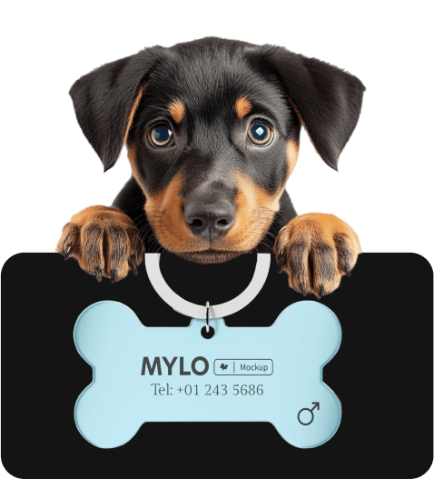 carrusel-banner-laser-engraving-8