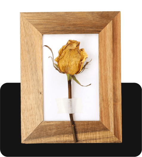 wood-engraving-banner-2