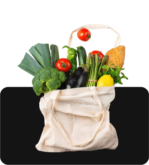 eco-bags-banner-2